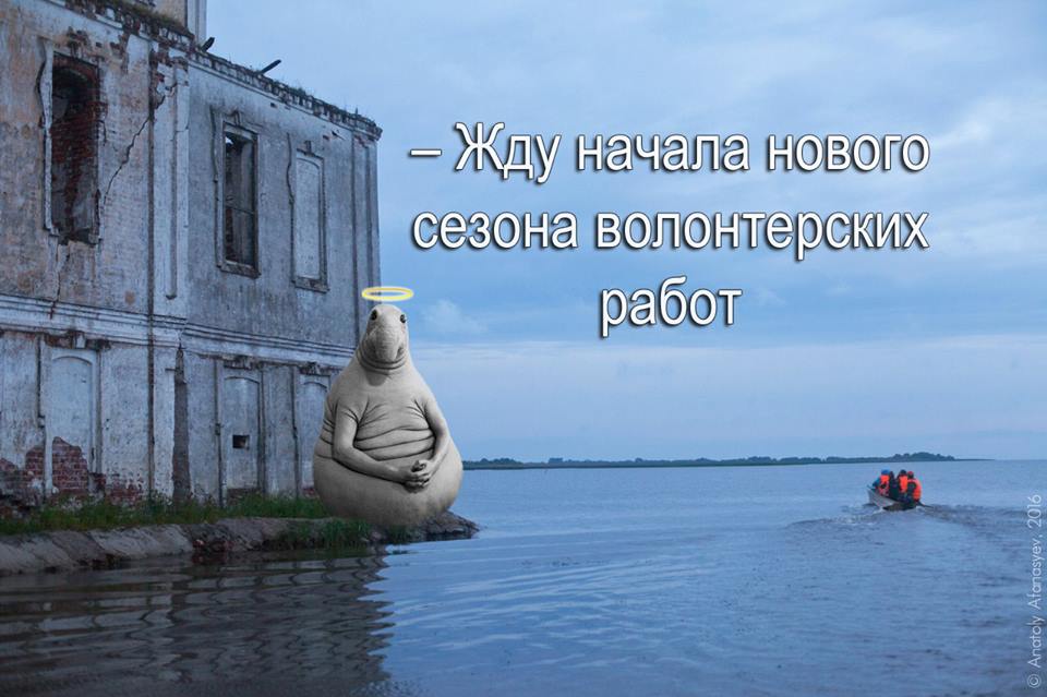 Ждун на море картинки