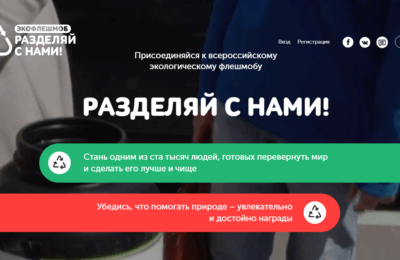 экофлешмоб
