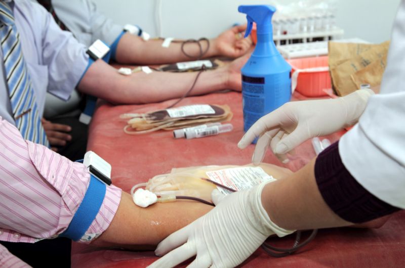 донор День донора донорство переливание крови