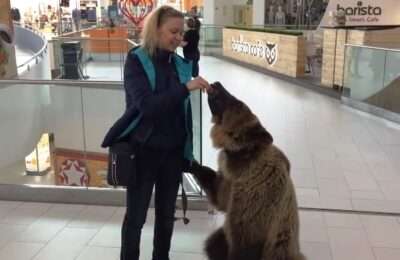 ульяновск