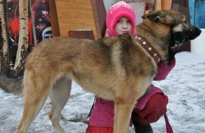 петрозаводск