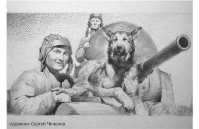 собака Джульбарс Великая Отечественная война герои День Победы