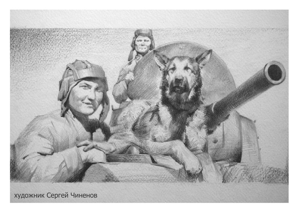 собака Джульбарс Великая Отечественная война герои День Победы
