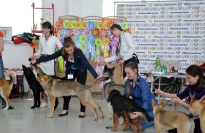 владивосток