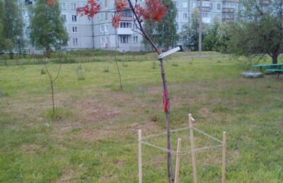 архангельск
