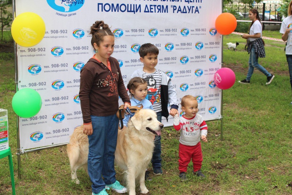 омск выставка собак