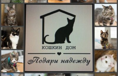 благовещенск