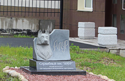 петрозаводск