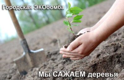 петрозаводск