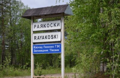 экологический лагерь