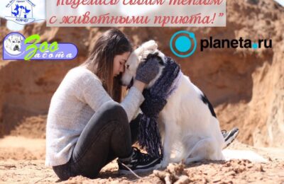 ярославль