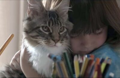 кошка