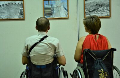 колясочники Краснодар выставка