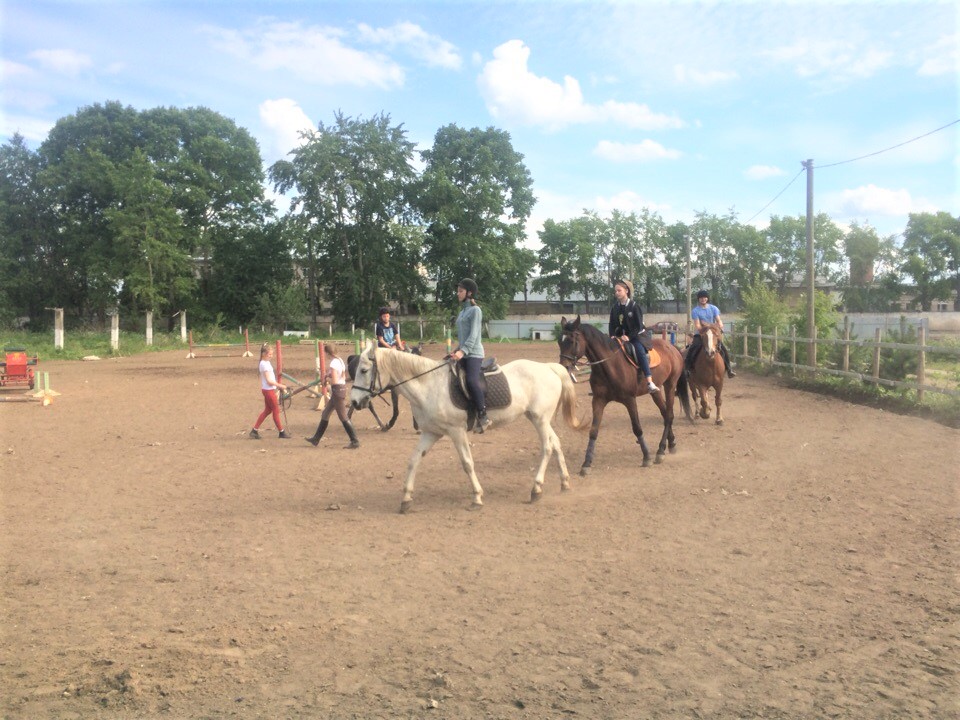 конный спорт сироты Вологда