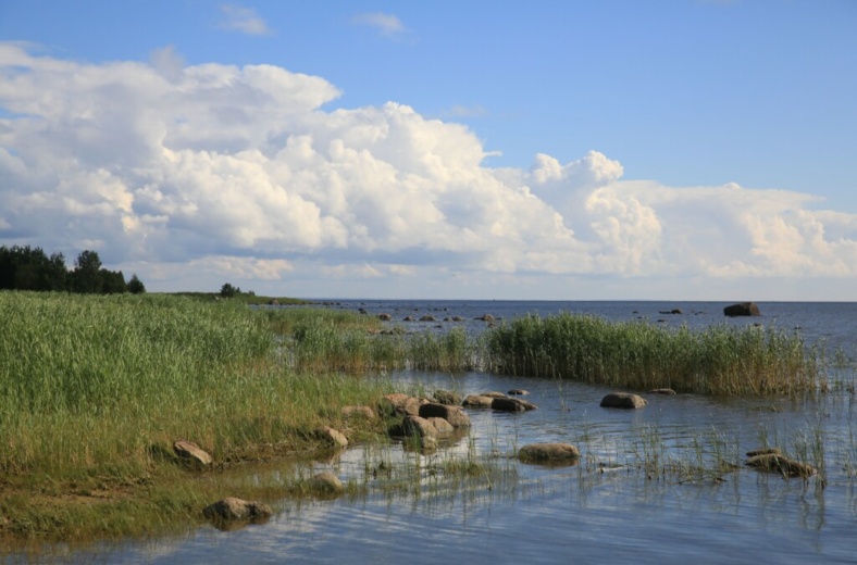 Кургальский заказник презентация