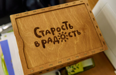власть бизнес нко