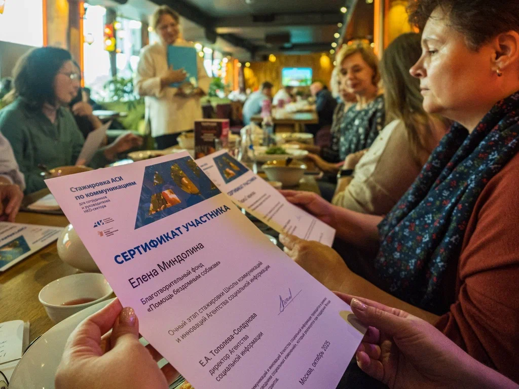 Стажировка 2025