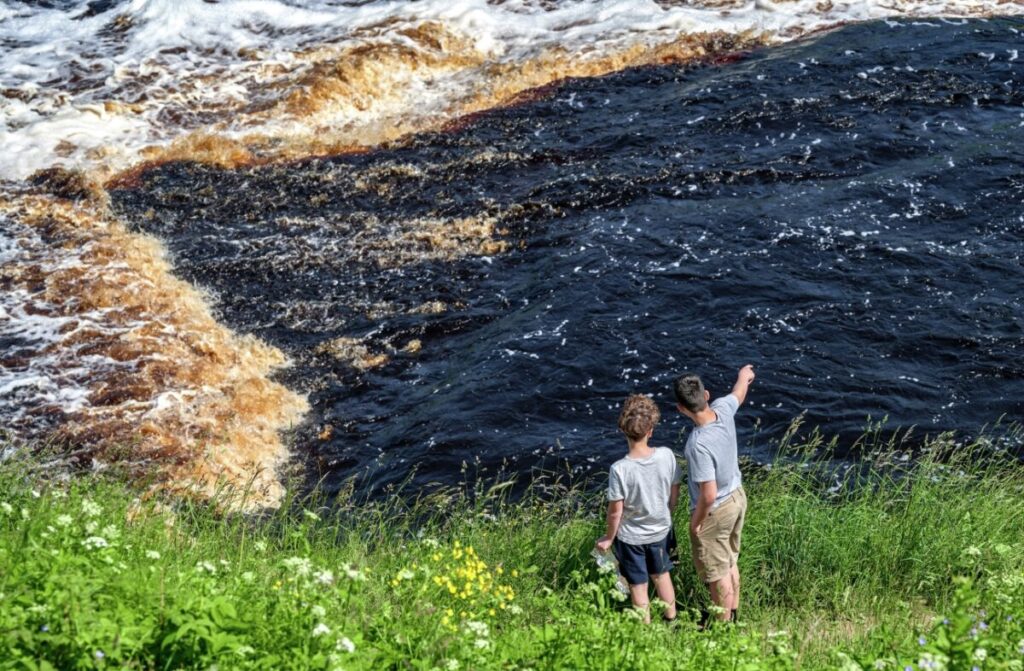 об экологии