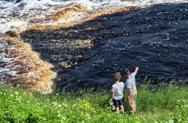 об экологии