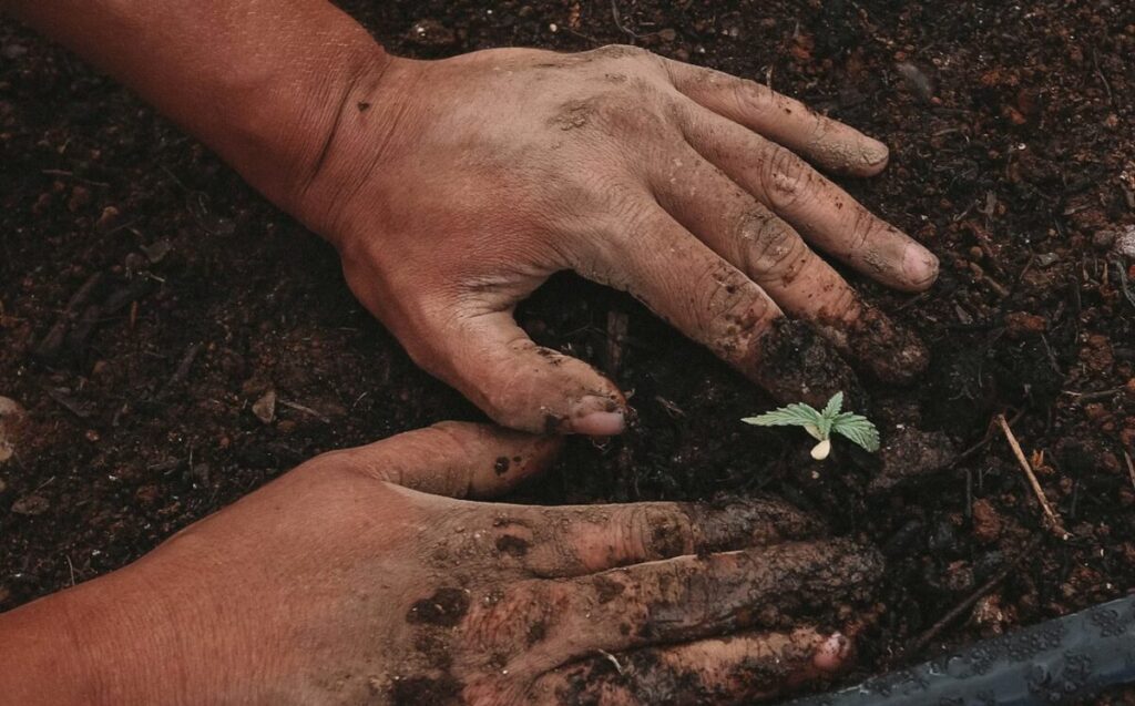 корпоративное волонтерство