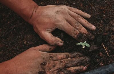 корпоративное волонтерство