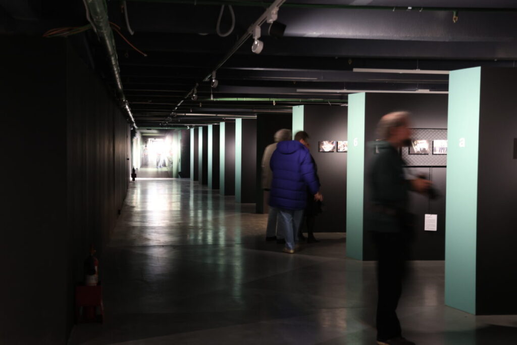 выставка про пни