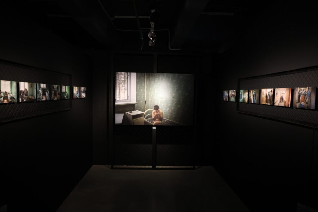 выставка про пни