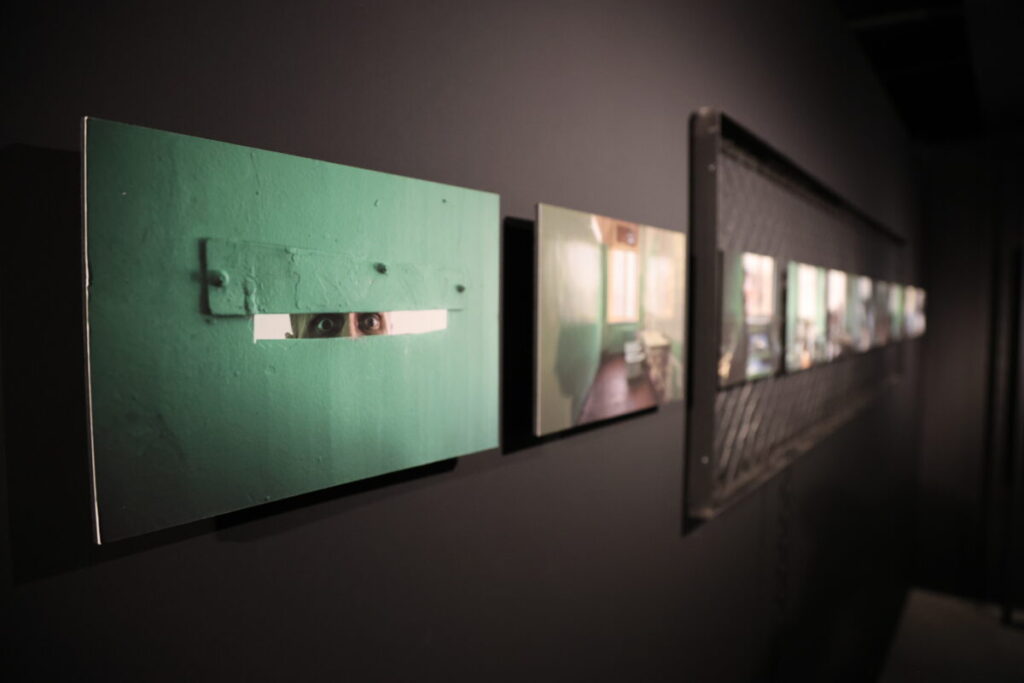 выставка про пни