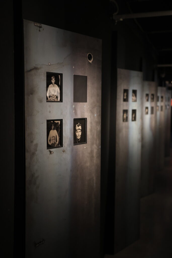 выставка про пни