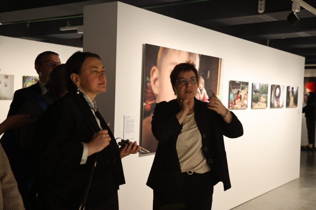 Нюта Федермессер выставка про пни