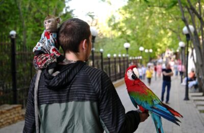 жестоким обращением